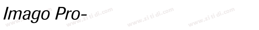 Imago Pro字体转换